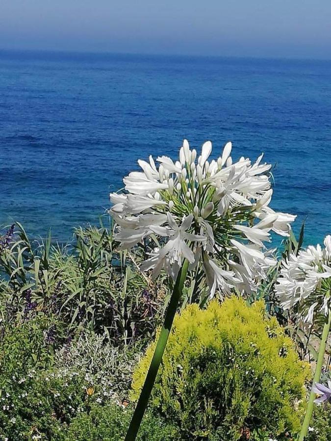 Ikaria village-ground floor No 4 Klorakas Exteriör bild